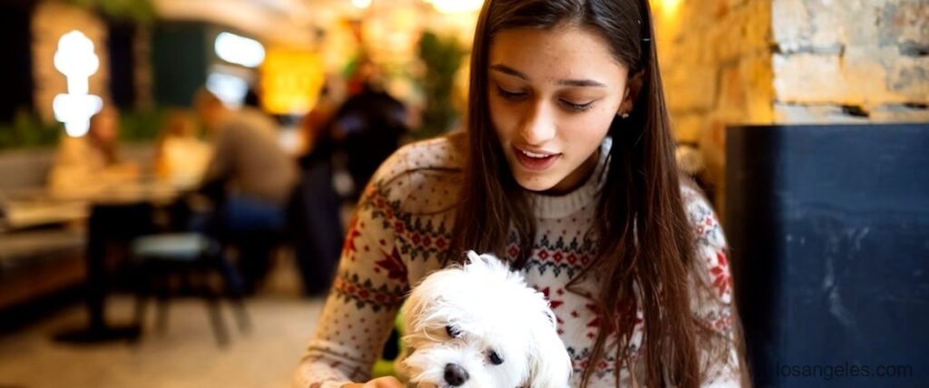 The 5 Best Dog Cafes in Los Angeles