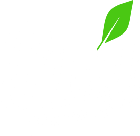 Basil Pizza Bar Catering