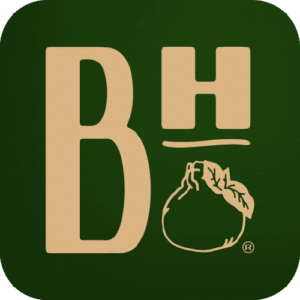 Burrata House