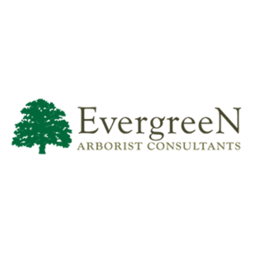 Evergreen Arborist Consultants