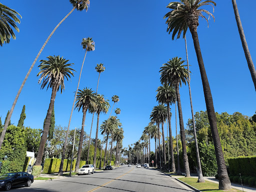 Hollywood City Tours