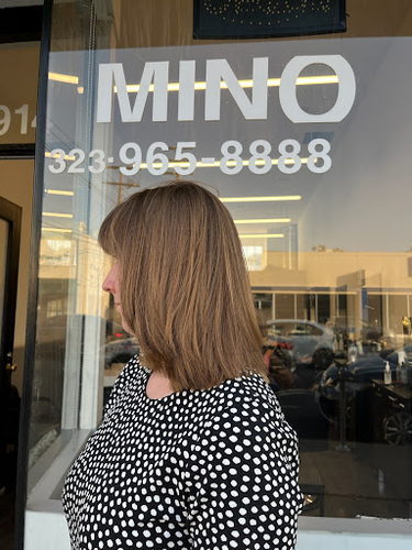 Mino Salon