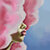Pink Cloud Studios