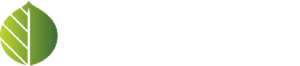 Roundleaf