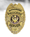 SkipNServe Process Server Service